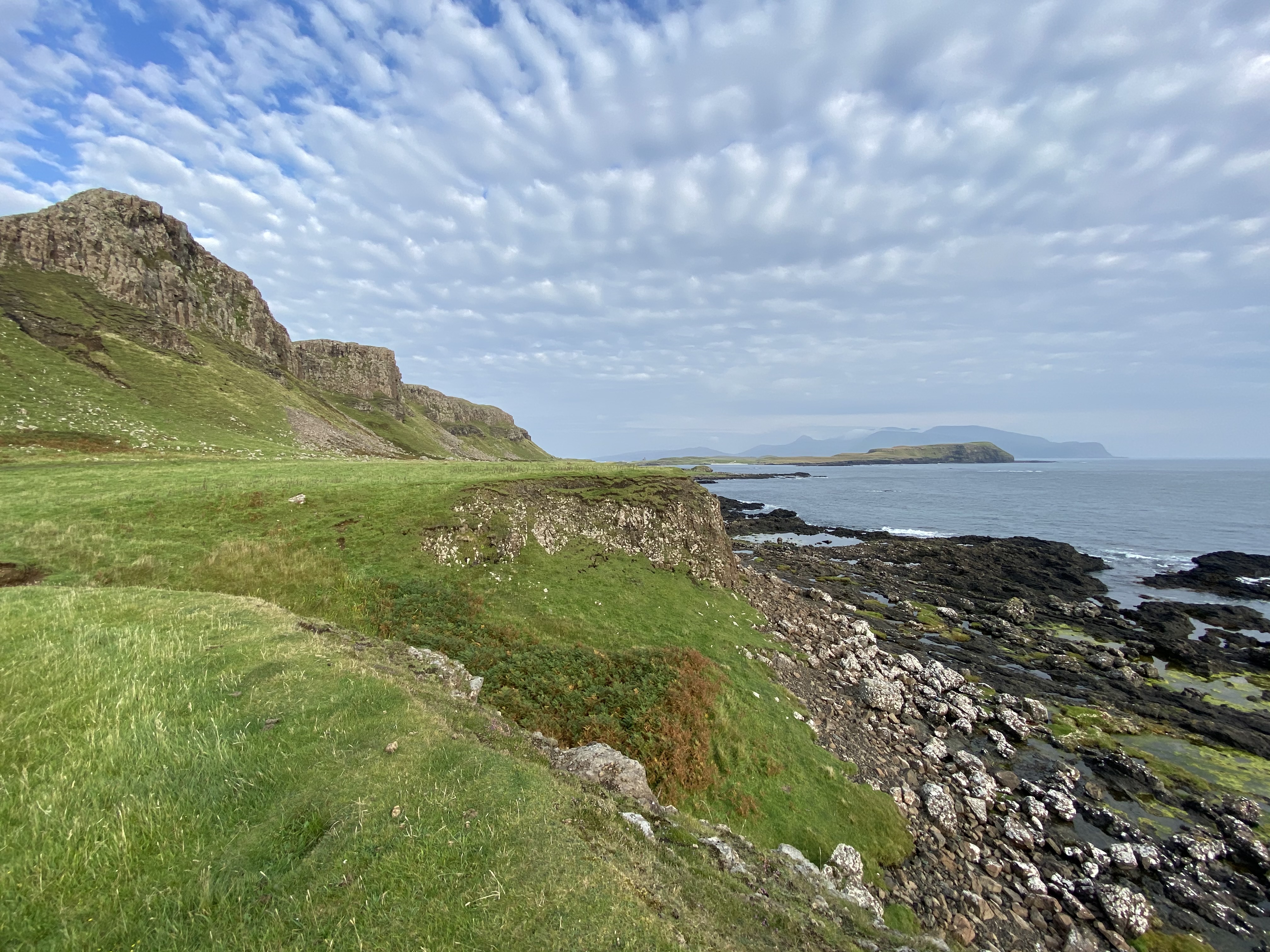 Canna 7 Robin Mckelvie