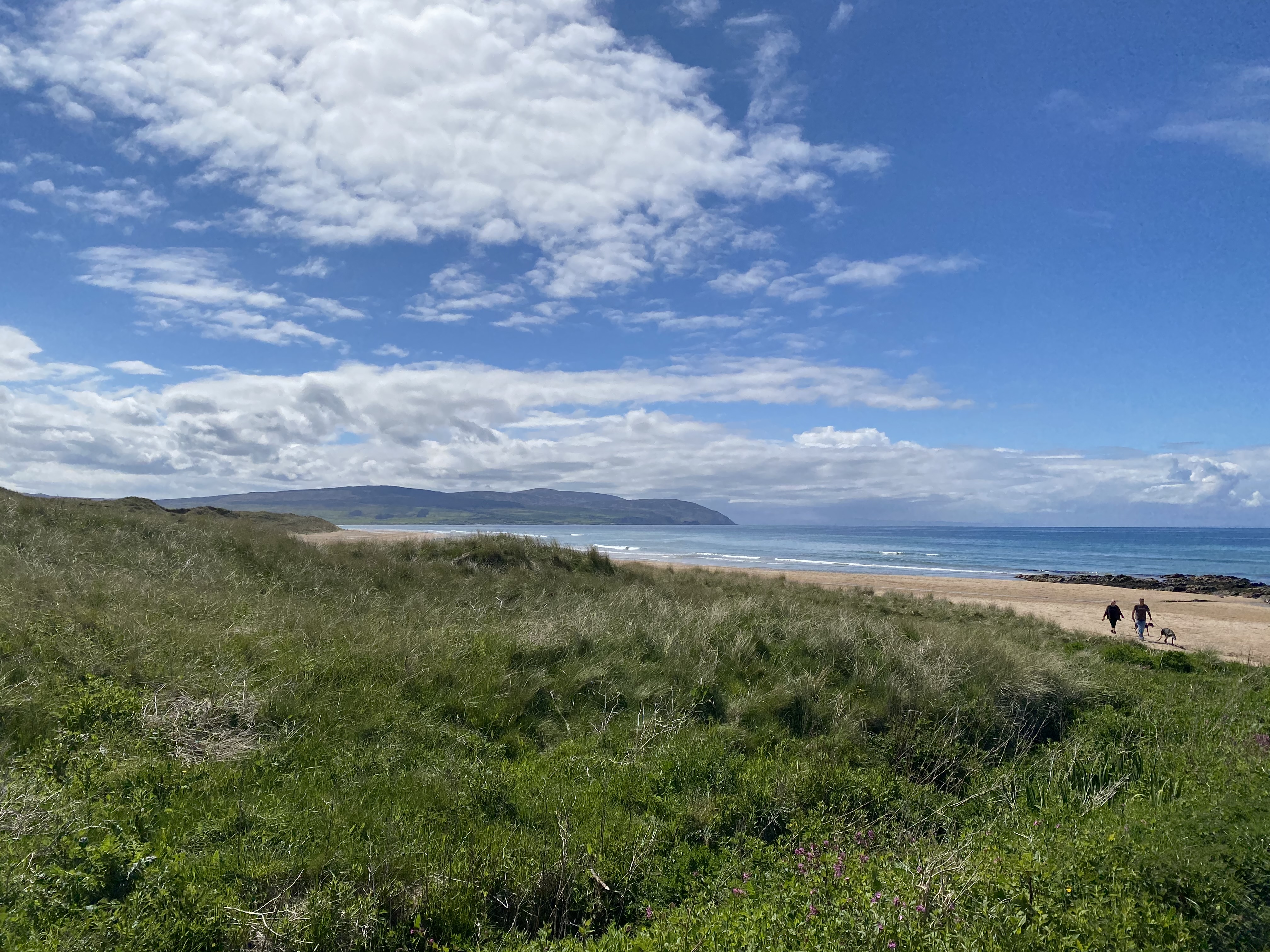 Westport Beach 6 Robin Mckelvie
